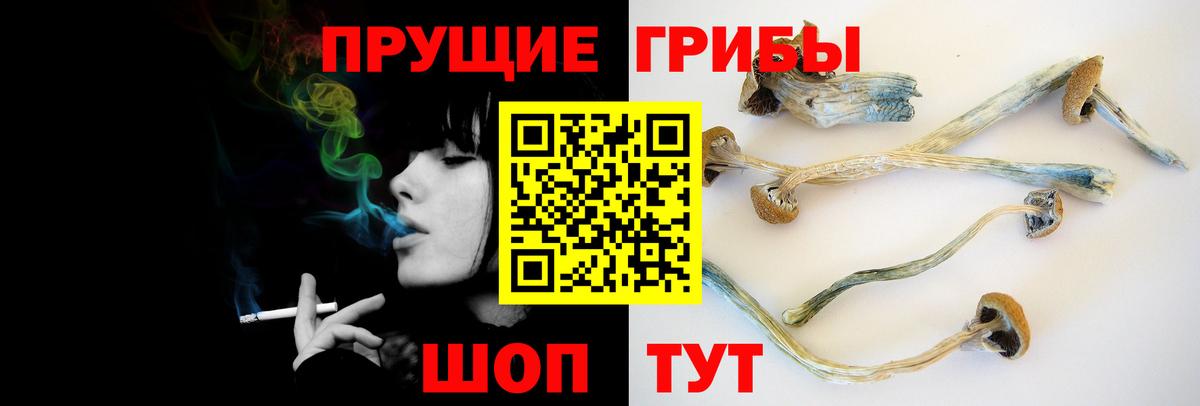 Галлюциногенные грибы Psilocybe Людиново